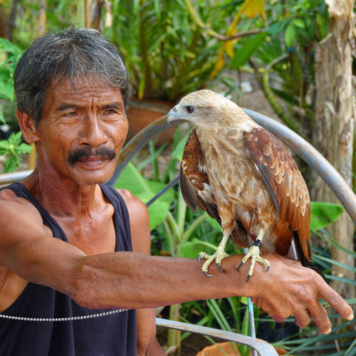 Thailand man with bird of prey
